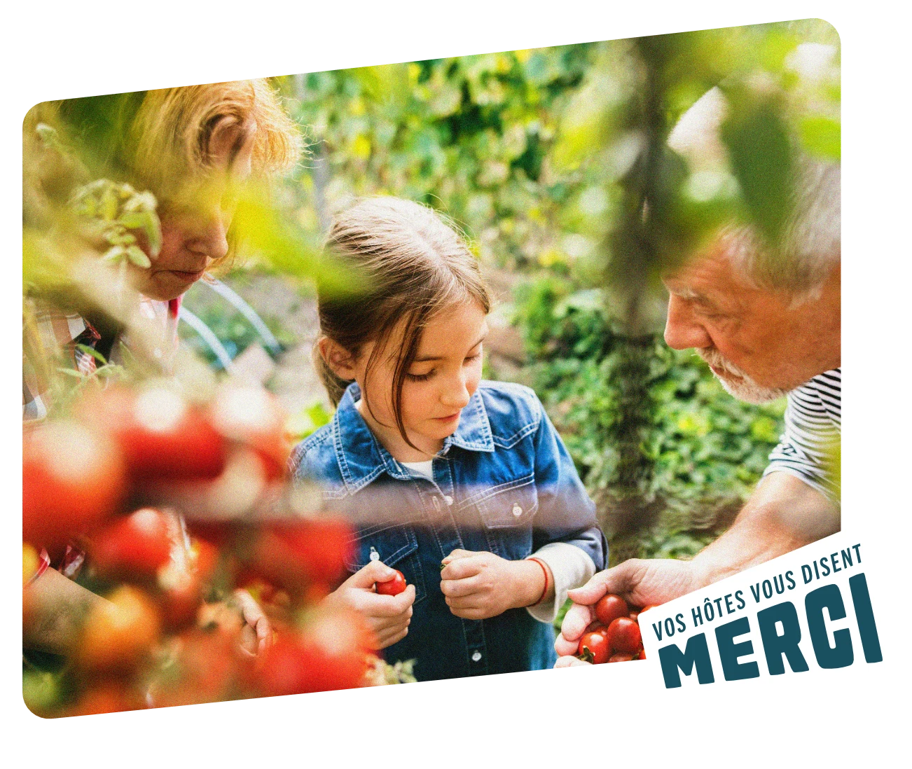 Logo « Vos hôtes vous disent merci »